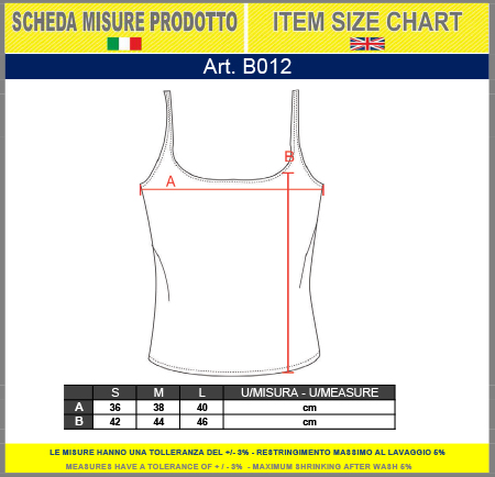 b12 scheda tecnica
